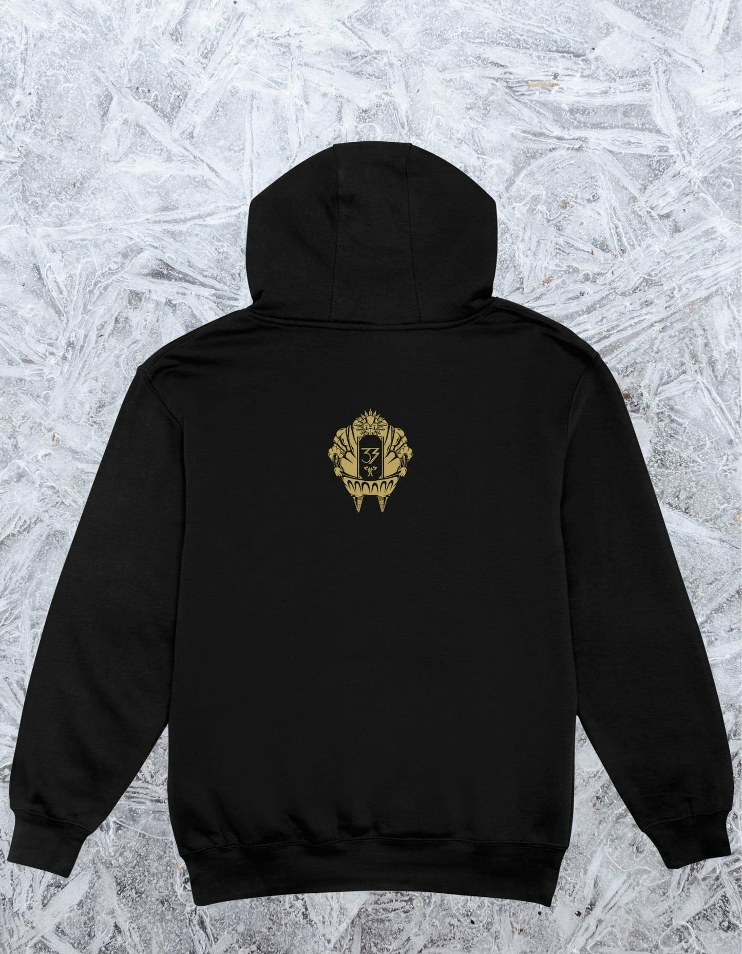 For Those who come After! (Hoodie)